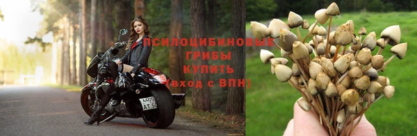МДМА Костерёво