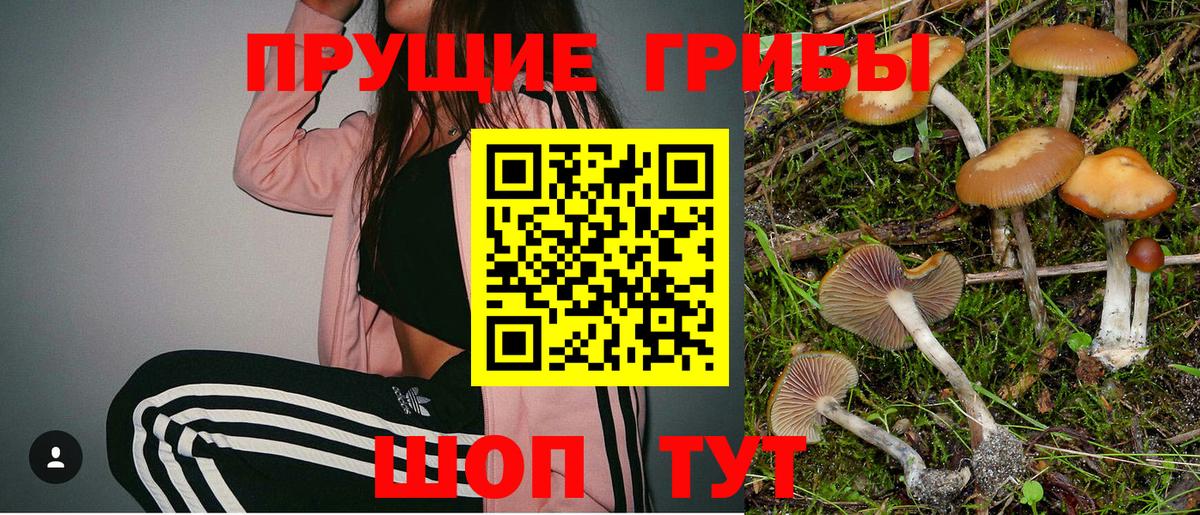 Похвистнево  Галлюциногенные грибы Cubensis  Псилоцибиновые грибы ЛСД  Вход с VPN 
