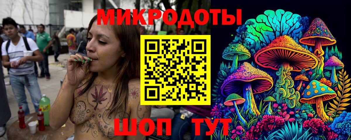 Галлюциногенные грибы Psilocybe Похвистнево